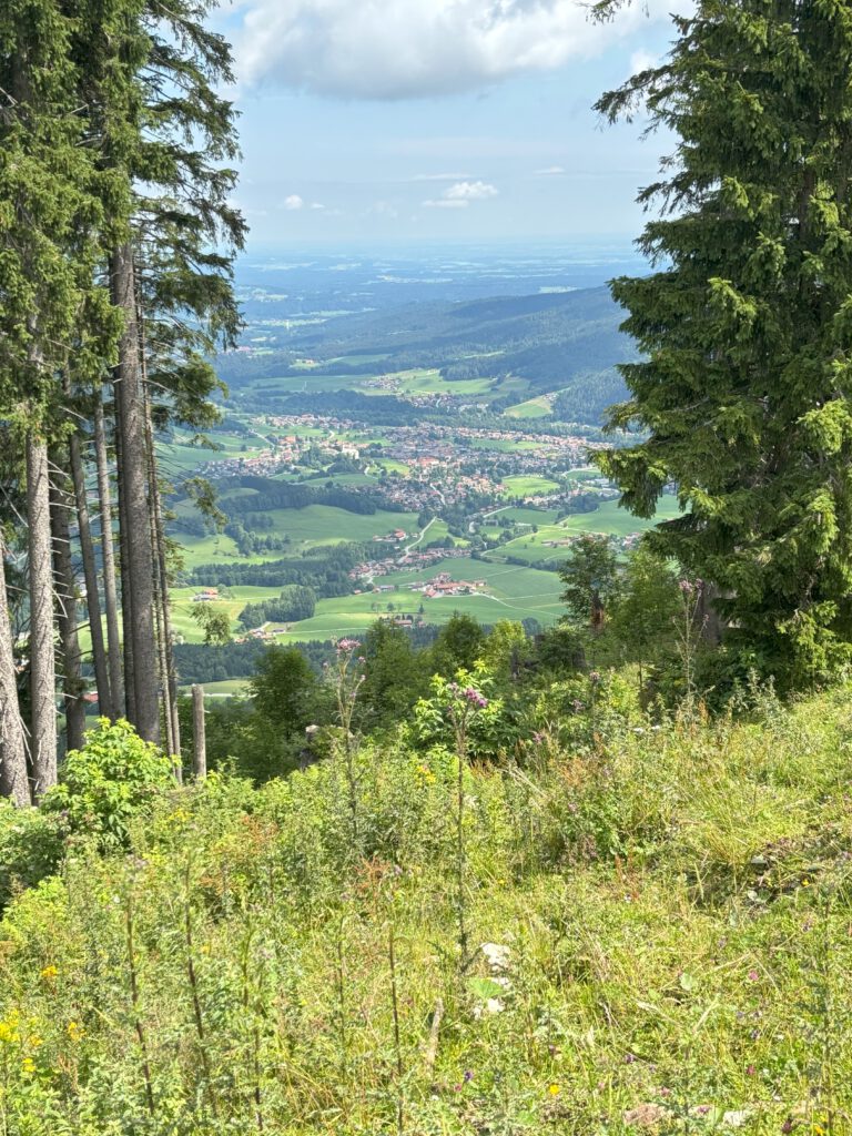 Blick nach Ruhpolding vom Unternberg.