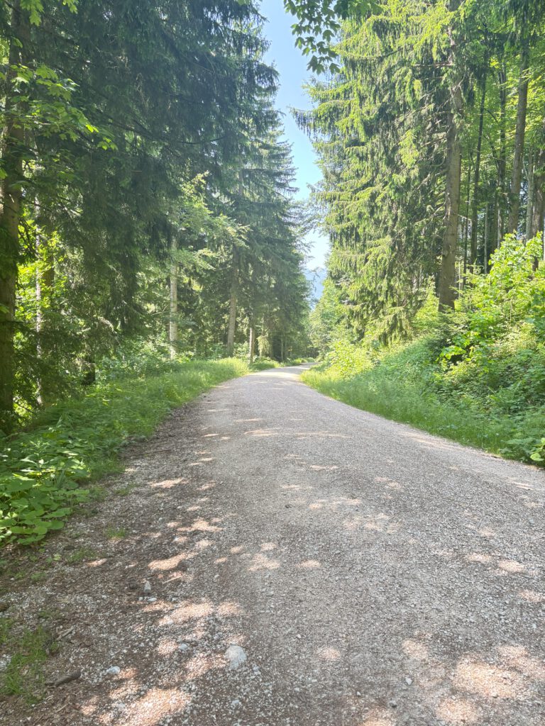 Ein Wanderweg im Wald der Richtung Bäckeralm führt.