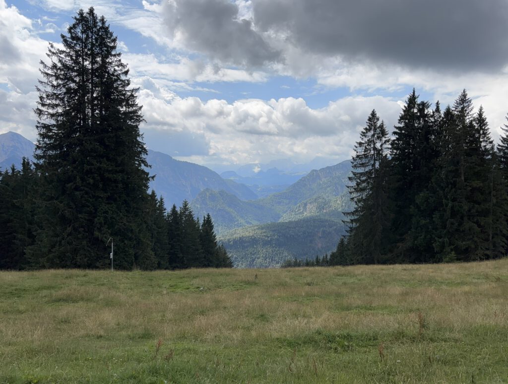 Hier ist der Ausblick vom Unterberg Sattel zu sehen. Es sind Wolken am Himmel. Im Vordergrund Wiese und Tannenbäume. Man hat einen weiten Blick in die Gebirgskette.